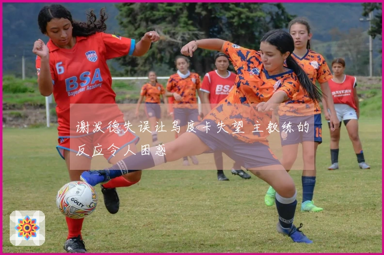 谢泼德失误让乌度卡失望 主教练的反应令人困惑